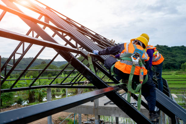 Best Roof Gutter Cleaning  in Glendale, MS